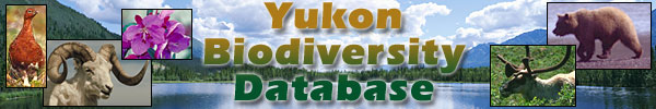 Yukon Biodiversity Database (SISTA)