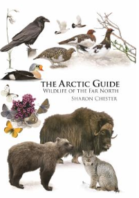 The Arctic guide : Wildlife of the Far North