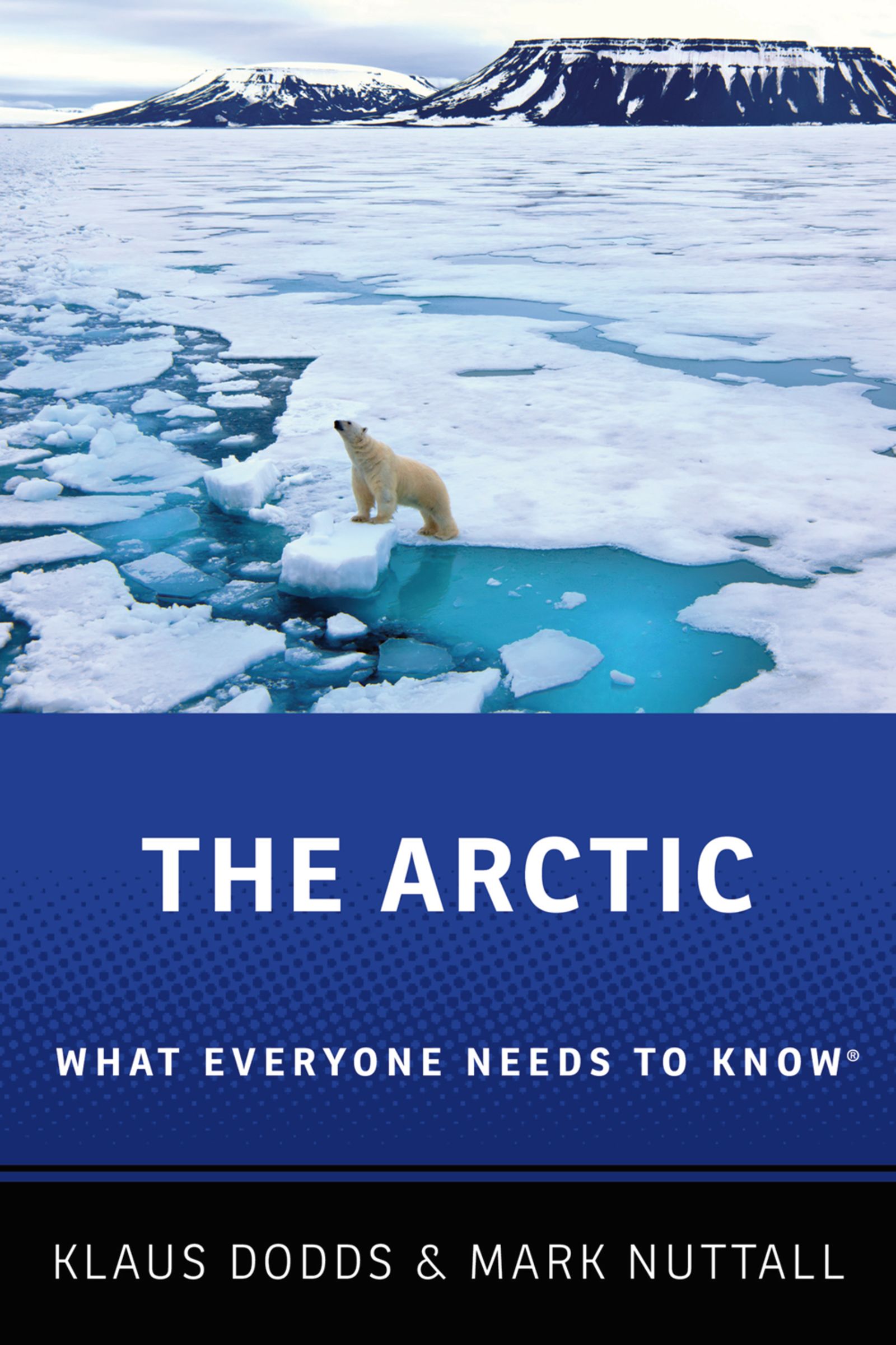 The Arctic : what everyone needs to know