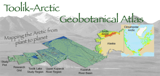 Arctic Geobotanical Atlas (University of Alaska)